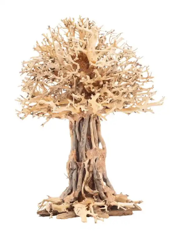 Nowość PROGROW Bonsai Tree BT7L 30x20x35cm drzewko