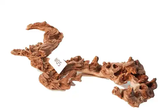 Korzeń naturalny SAWANNA 49x23x7 05 Premium