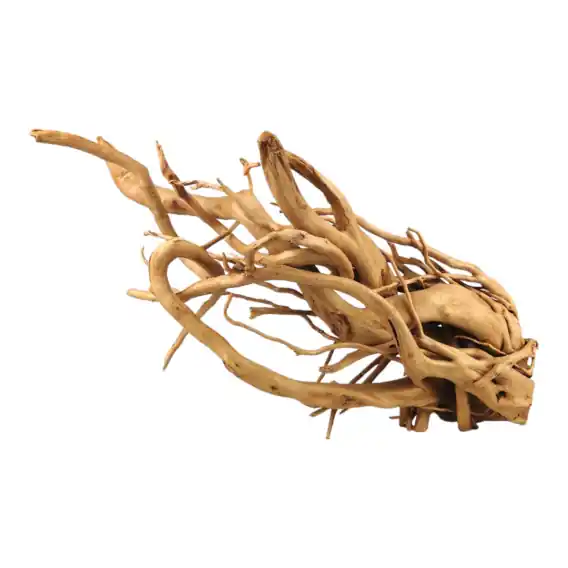 Korzeń Red Moor Wood 001 56x20x25 cm Dostępne od ręki