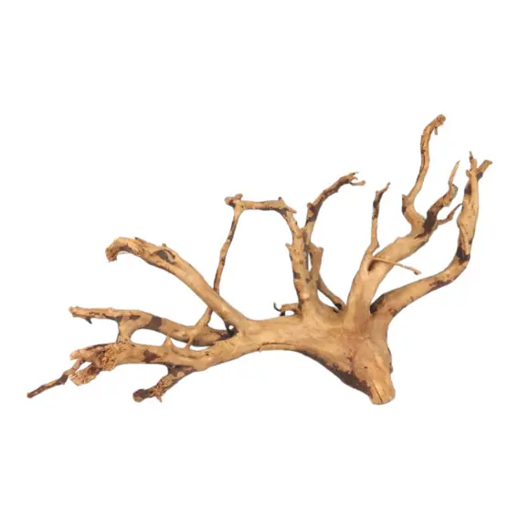 Kup online Korzeń Red Moor Wood 008 42x15x20 cm