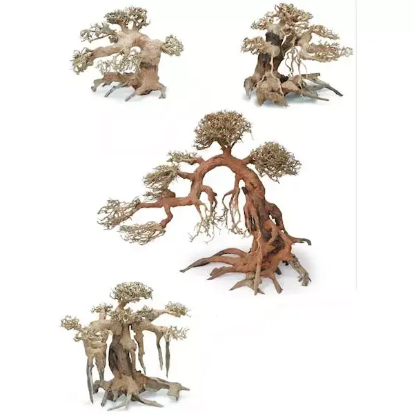 Wyprzedaż Korzeń BONSAI (sztuka) - rozmar M