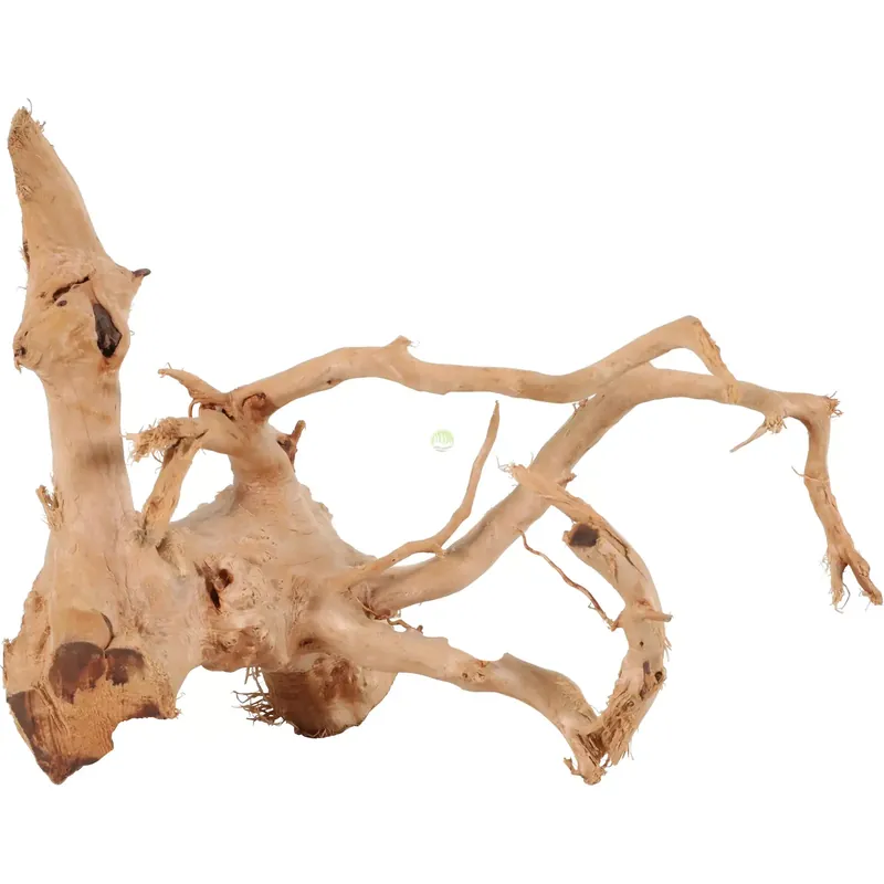 Korzeń japoński Zolux Spider Wood (sztuka)rozmiar 10-30cm Dodaj do koszyka
