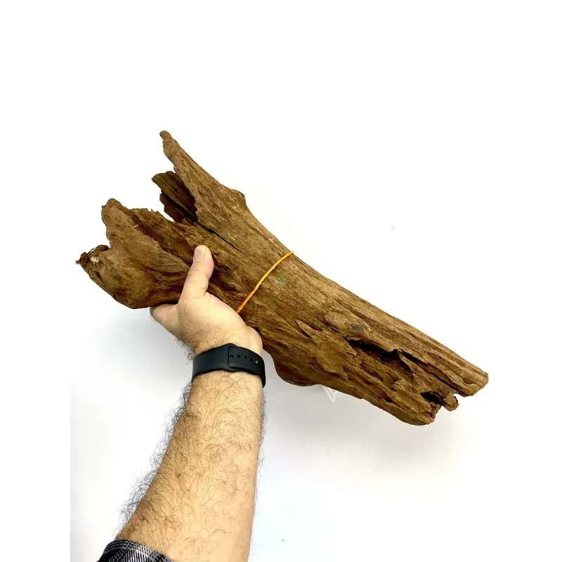 Bezpieczne zakupy Korzeń mangrowy IKOLA M (sztuka) - rozmiar 15-25cm