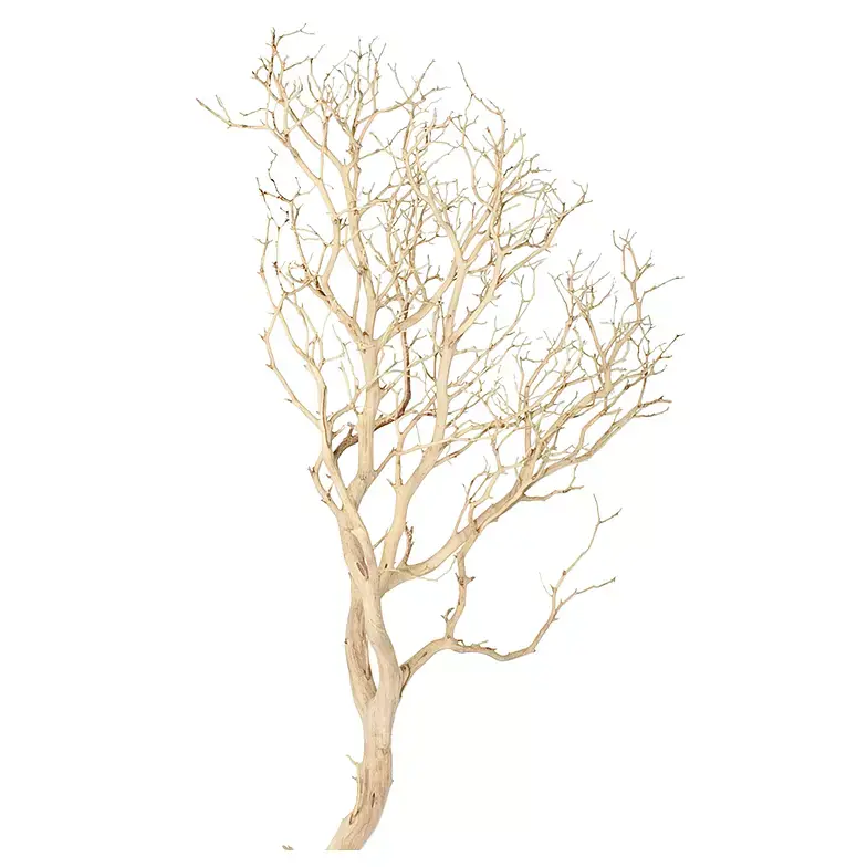 Bezpieczna płatność Korzeń Tiny Ramous Woodrozmiar 20-30cm - na drzewko w akwarium