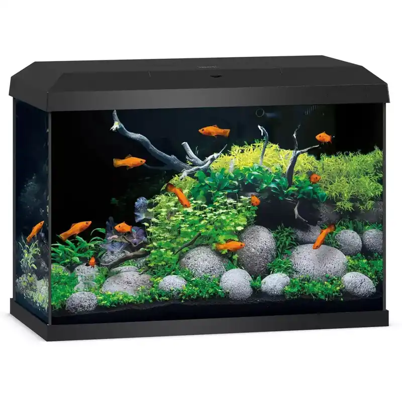 Akwarium Juwel Primo 70 LED 2.0 czarne Hit cenowy