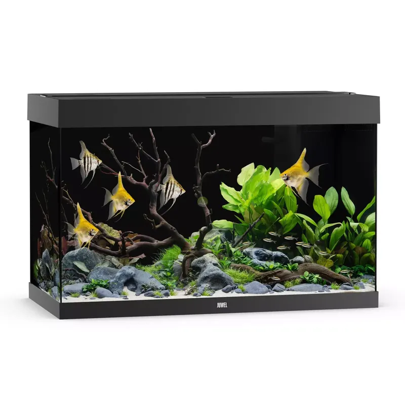 Kup online Akwarium Juwel Rio 290 LED czarne