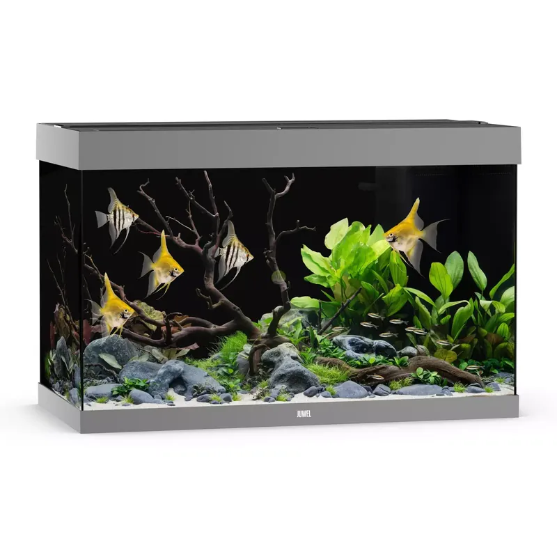 Wybór klientów Akwarium Juwel Rio 290 LED szare