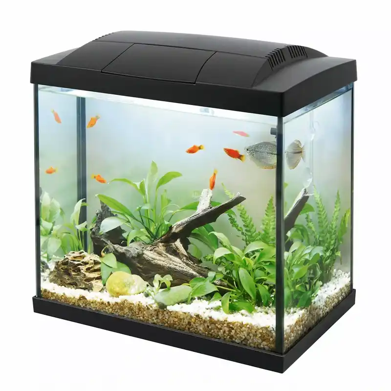Akwarium K30 Hailea, 30l czarne Oferta limitowana