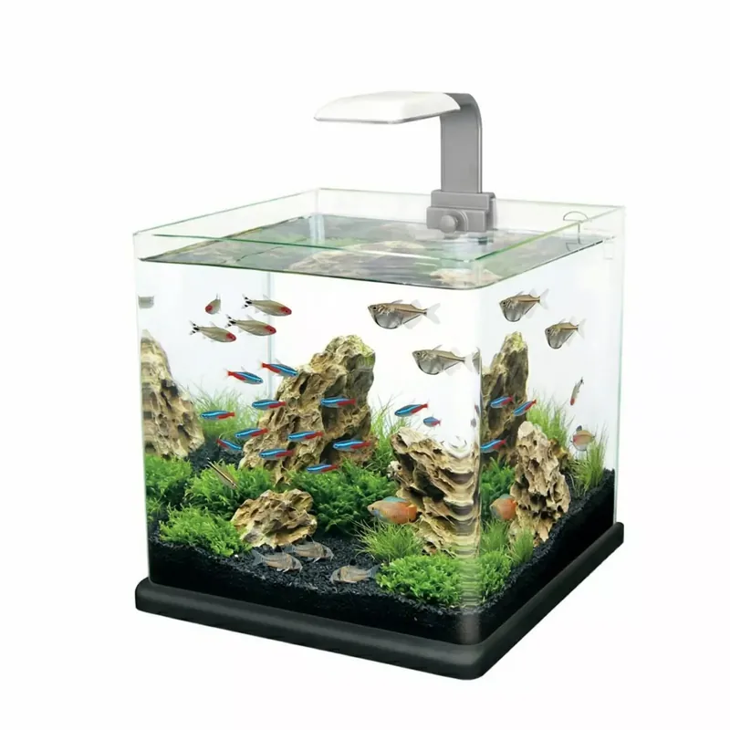 Bestseller Akwarium Q25 czarne