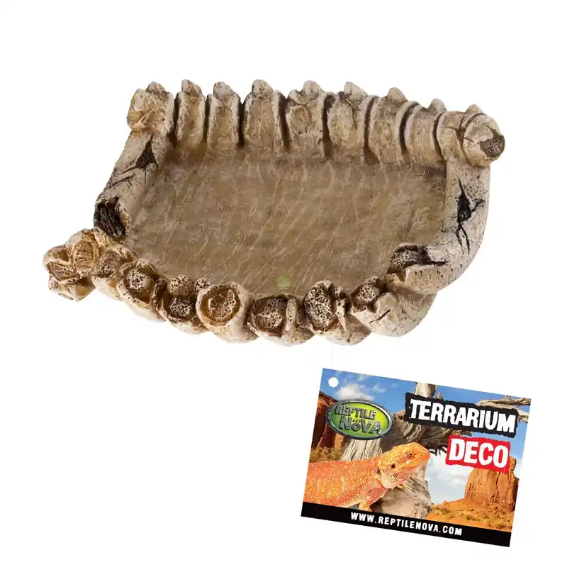 Niska cena Aqua Nova REP-DISH-BONES