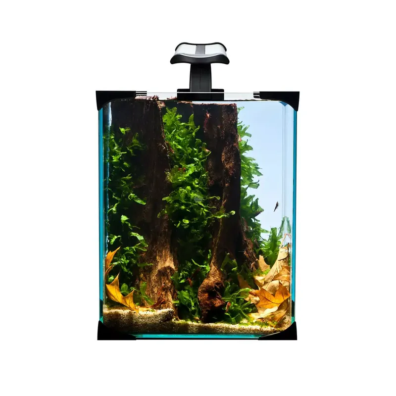 Nie przegap Diversa Zestaw Nano Led 10