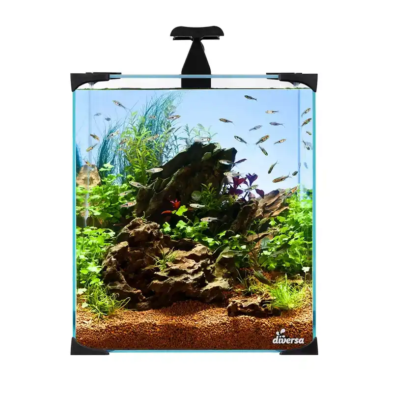 Promocja Diversa Zestaw Nano Led 30
