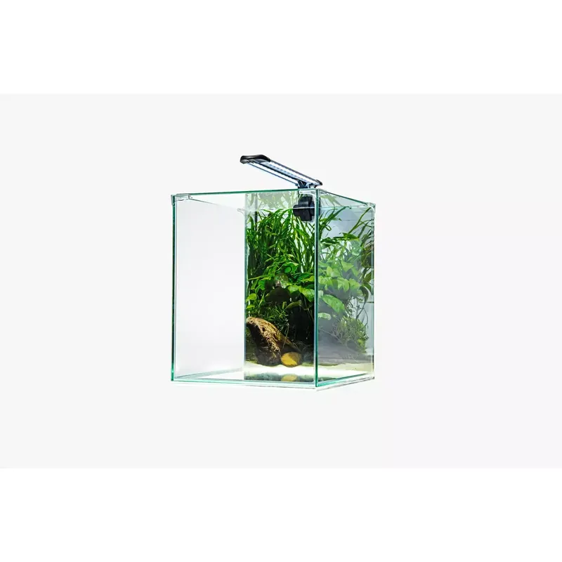 Diversa Zestaw Neo Light 30 - Roślinne Cena promocyjna