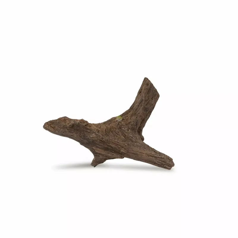 Drewno Brown Core Wood rozmiar S, 10cm-20cm Cena promocyjna