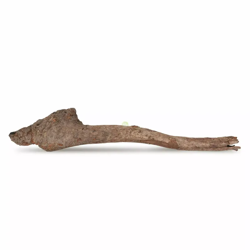 Drewno Kimchi Wood rozmiar L, 30cm-40cm Nowość