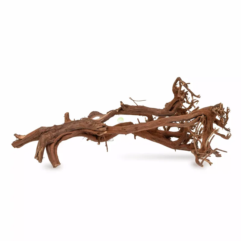 Cena promocyjna Drewno Satung Wood rozmiar S, 20cm-35cm