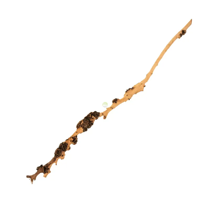 Drewno Sava Wood, 20-70cm Hit cenowy