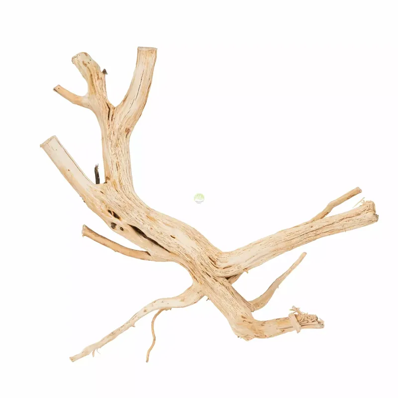 Kup teraz Drewno Thanh Lieu Wood rozmiar L, 50cm-70cm