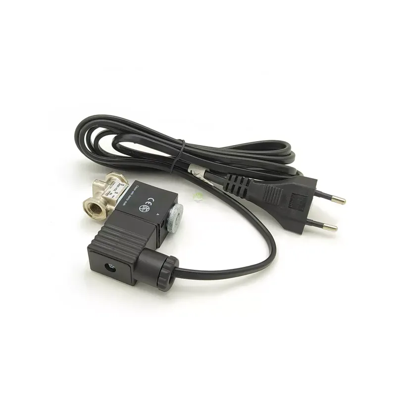 Ostatnia szansa Elektrozawór CO2 Camozzi