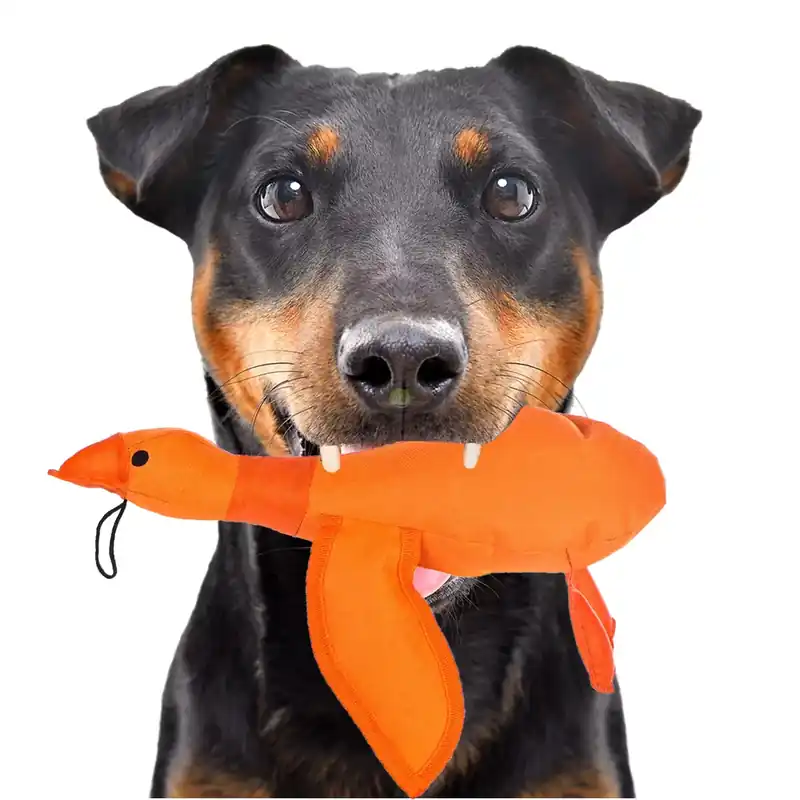 Oferta HappyPet Dazzle Ducks - piszcząca kaczka