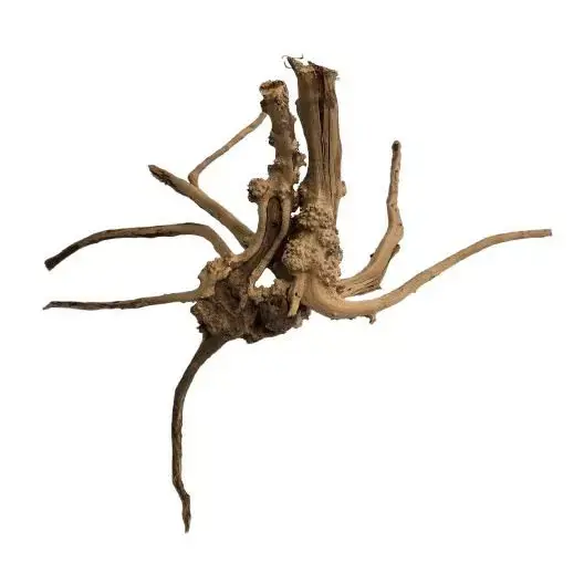 Ikola Korzeń Slim Wood 10-50cm Kup teraz