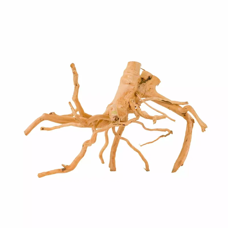 Korzeń Spider do akwarium / terrarium 26-65cm Hit cenowy