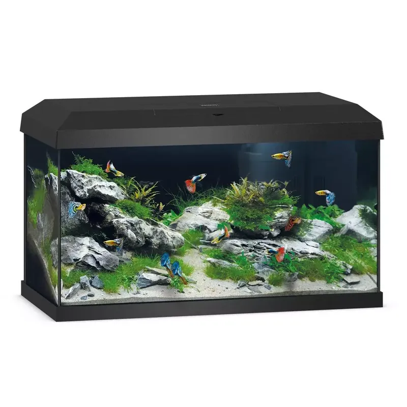 Akwarium Juwel Primo 60 LED 2.0 czarne Oferta czasowa