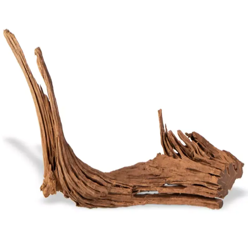Philippines Classic Driftwooddrzewo mangrowca z wody M 25cm - 30cm Wysoka jakość