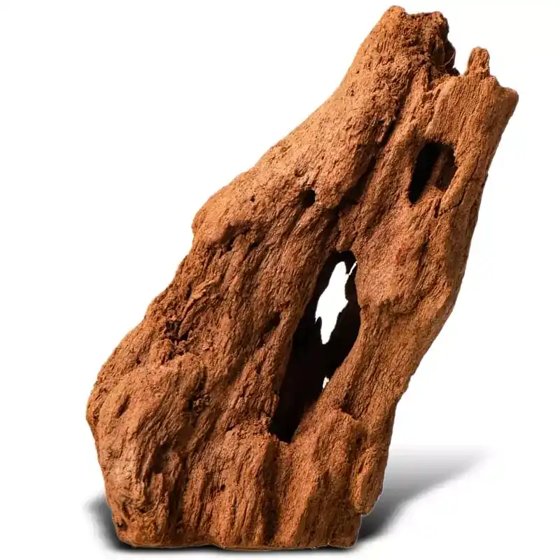 Nowy Philippines Classic Driftwooddrzewo mangrowca z wody XS ok.16cm