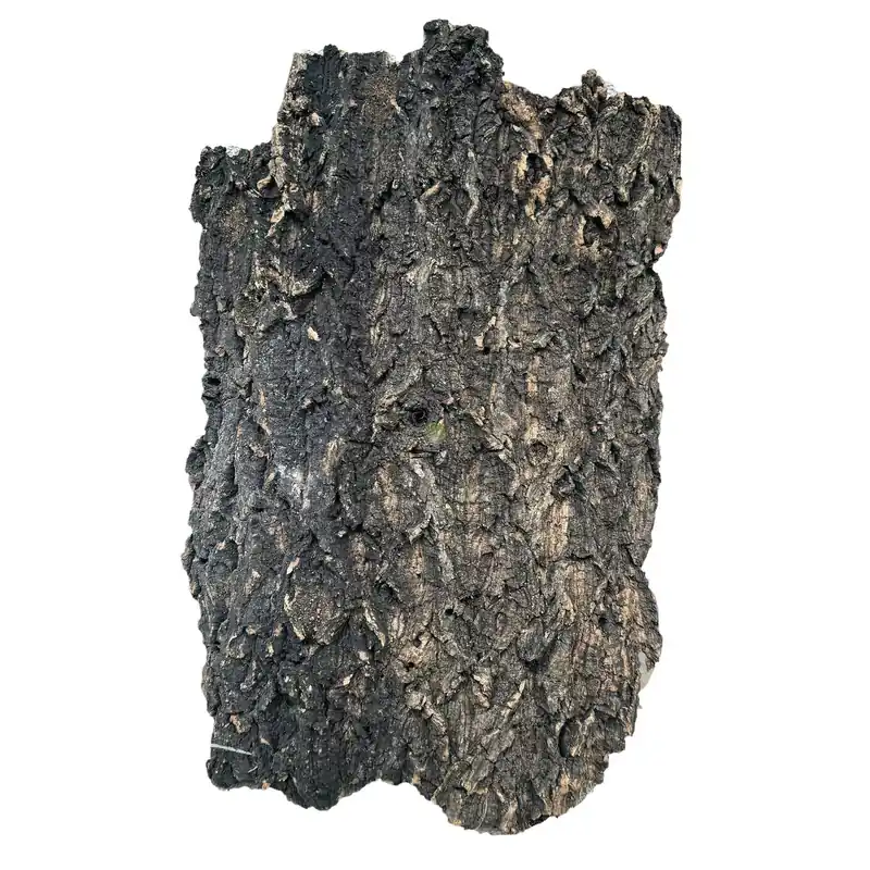 Progrow Cork Bark 40-50cm 1kg Szybka dostawa