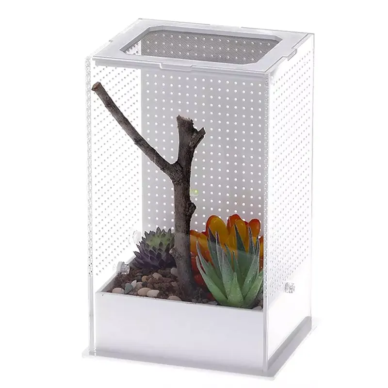 Premium Repti-Zoo Mantis Box Lterrarium akrylowe dla modliszek