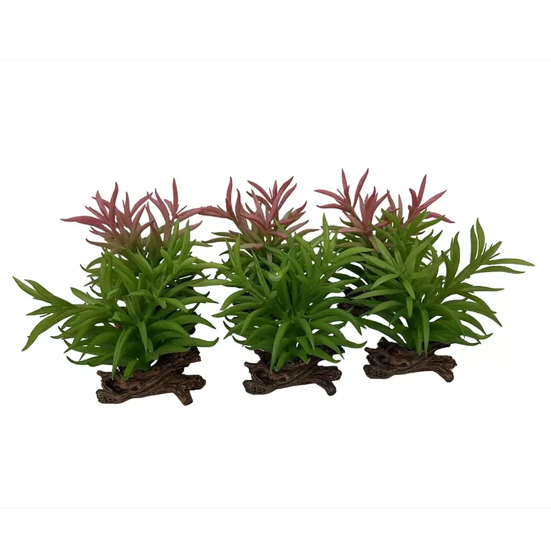 Wybór klientów Sukulent Crassula, ozdoba do terrarium, mix kolorów, 13x10,5x16cm