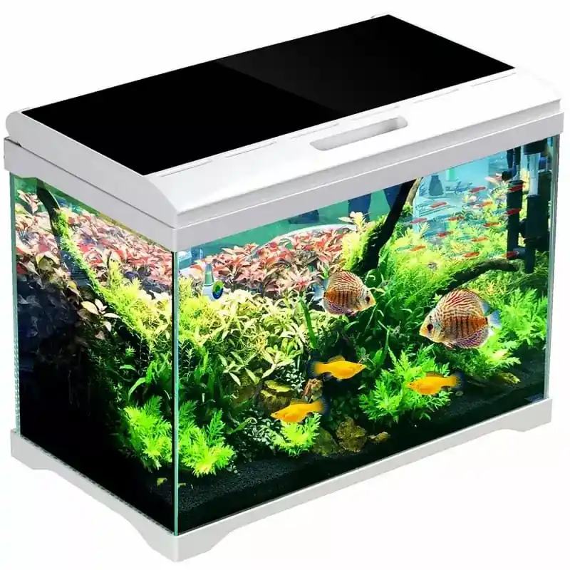 Premium SunSun Supreme AquaPlant 40l - zestaw akwarium