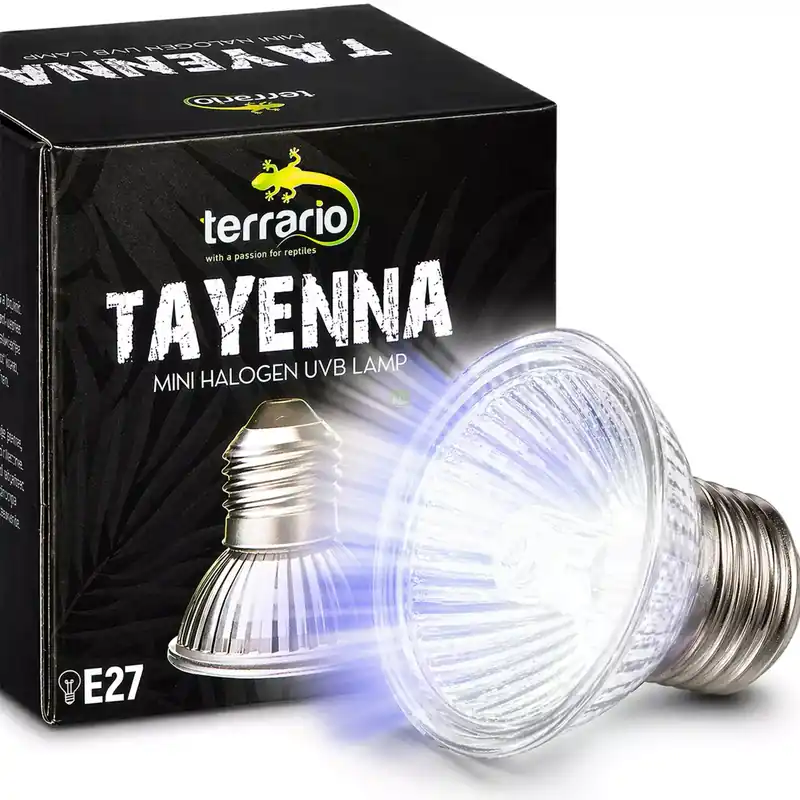 Kup online Terrario Tayenna 25W - mini halogen Uvb