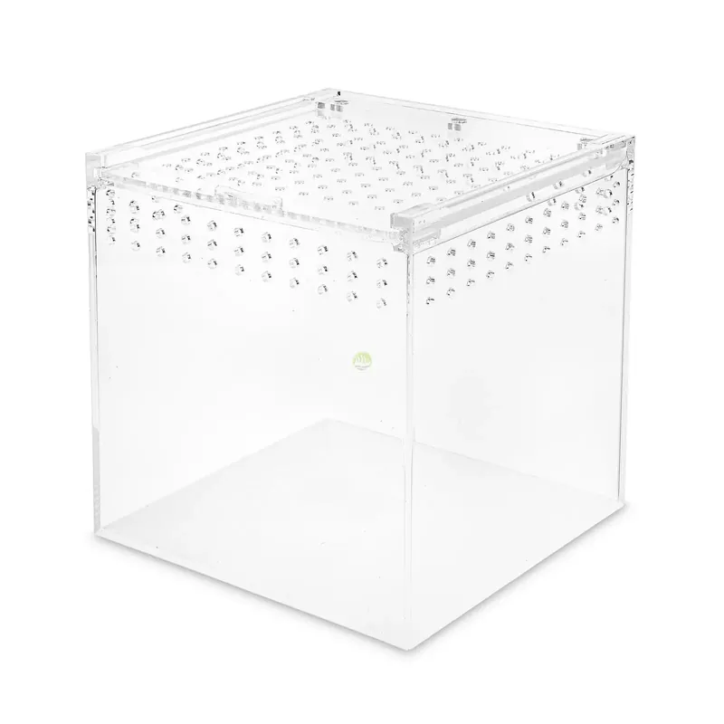 Oferta czasowa Terrarium akrylowe 15x15x15cm