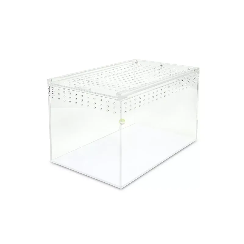 Zamów teraz Terrarium akrylowe 20x15x15cm