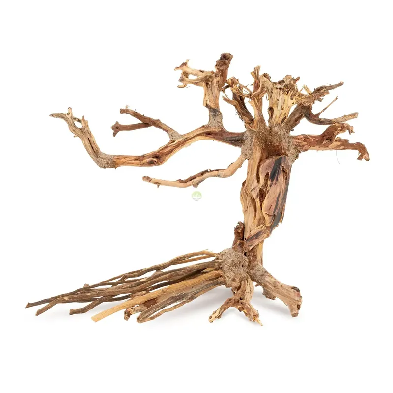 Tonące drzewo Bonsai nr 14 25x20cm Rabat