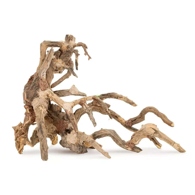 Oferta czasowa Tonące drzewo Bonsai nr 64 75x45cm