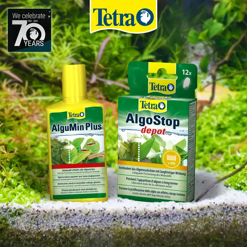 Zestaw preparatów Tetra zwalczających glony AlguMin Plus + AlgoStop Depot Ostatnia szansa