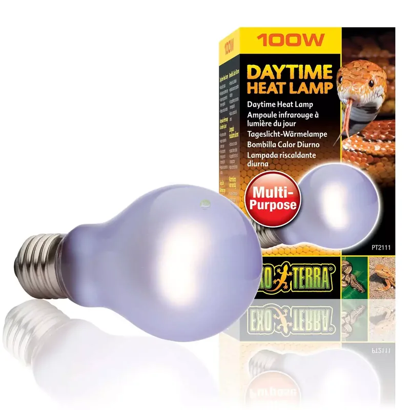 Żarówka Daytime Heat A19/60W Ostatnie sztuki