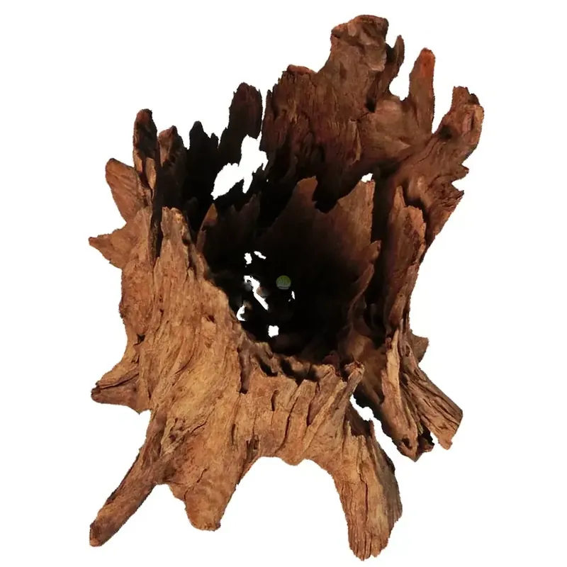 Ostatnie sztuki Philippines Classic Driftwooddrzewo mangrowca z wody L 30cm - 40cm