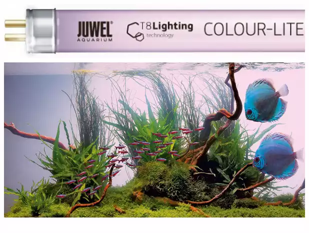 JUWEL- świetlówka Colour-Lite (T8) Szybka wysyłka