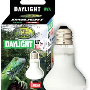 REPTILE NOVA Daylight UVA 50W (UVA-50W-DAYLIGHT) - Żarówka grzewcza do terrarium Zamów dziś