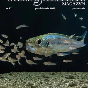 Szybka dostawa Tanganika Magazyn nr. 37 - Półrocznik o biotopie Tanganika