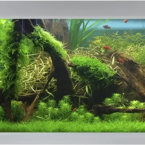 Szybka dostawa AKVASTABIL Akwarium Fusion 100x50x54cm 250L Białe (A10100W) - Zestaw akwariowy z pokrywą