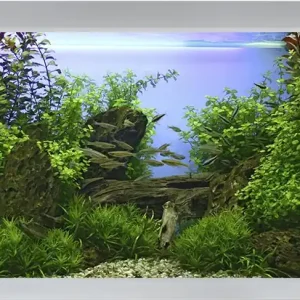 Hit sprzedaży AKVASTABIL Akwarium Fusion 160x60x64cm 576L Białe (A10160W) - Zestaw akwariowy z pokrywą