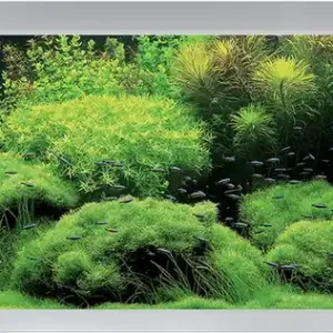 AKVASTABIL Akwarium Fusion 200x60x64cm 720L Białe (A10200W) - Zestaw akwariowy z pokrywą Promocja