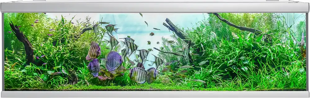 AKVASTABIL Akwarium Fusion 200x75x64cm 900L Białe (A10200X75W) - Zestaw akwariowy z pokrywą Niska cena