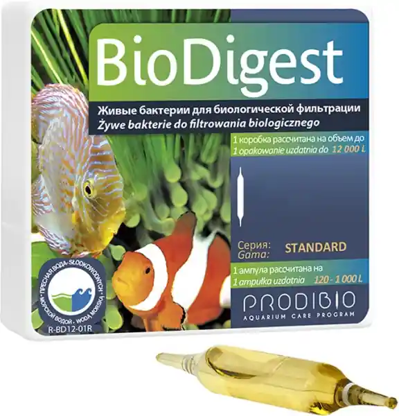 Ograniczona ilość Prodibio Biodigest 1 Ampułka - Bakterie na start