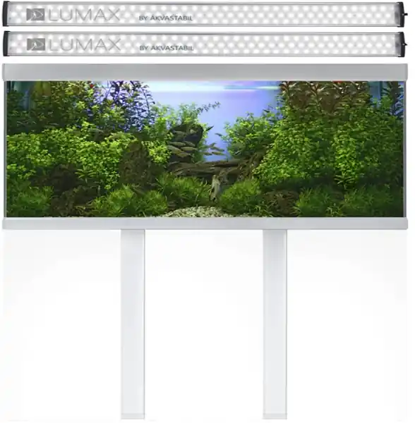 Popularny AKVASTABIL Zestaw Akwariowy Fusion 576l LED Biały - Zawiera akwarium, oświetlenie 4xLED, pokrywa, szafka